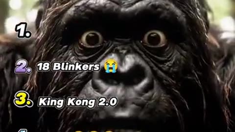 Ranking the Funniest Bigfoot Vlogs