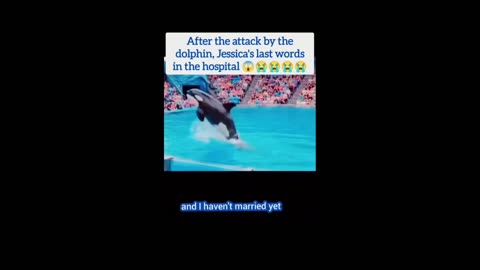 Jassica and Dolphin last words