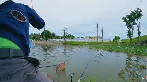 Salmons Epic Journey Through Rivers