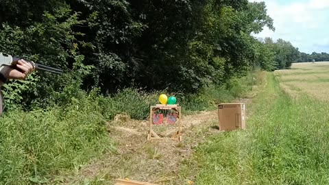 Splitting a 22 bullet on an axe blade
