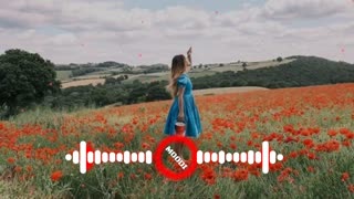 Relaxing Lofi Music