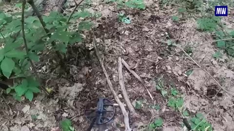 Discovery of Ukrainian Ammunition Depots by Rosgvardiya in the DPR