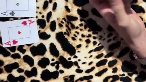 Four aces cardistry