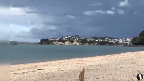 Kohimarama Beach Auckland New Zealand Tour
