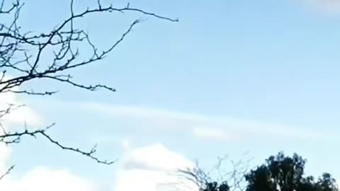 🤯👁️ Сан-Хосе, Калифорния, 09.03.2018 — Постоянное наблюдение НЛО! | TheTruthAbove