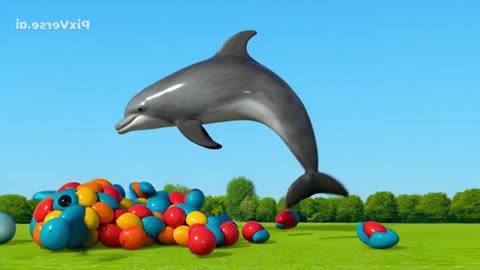 SEE Dolphins and Horses from a HOT Air Balloon?