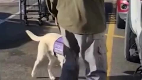 Veteran Hank Ford credits his service dog