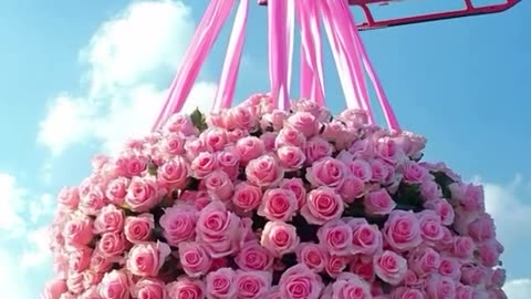 Happy Woman’s