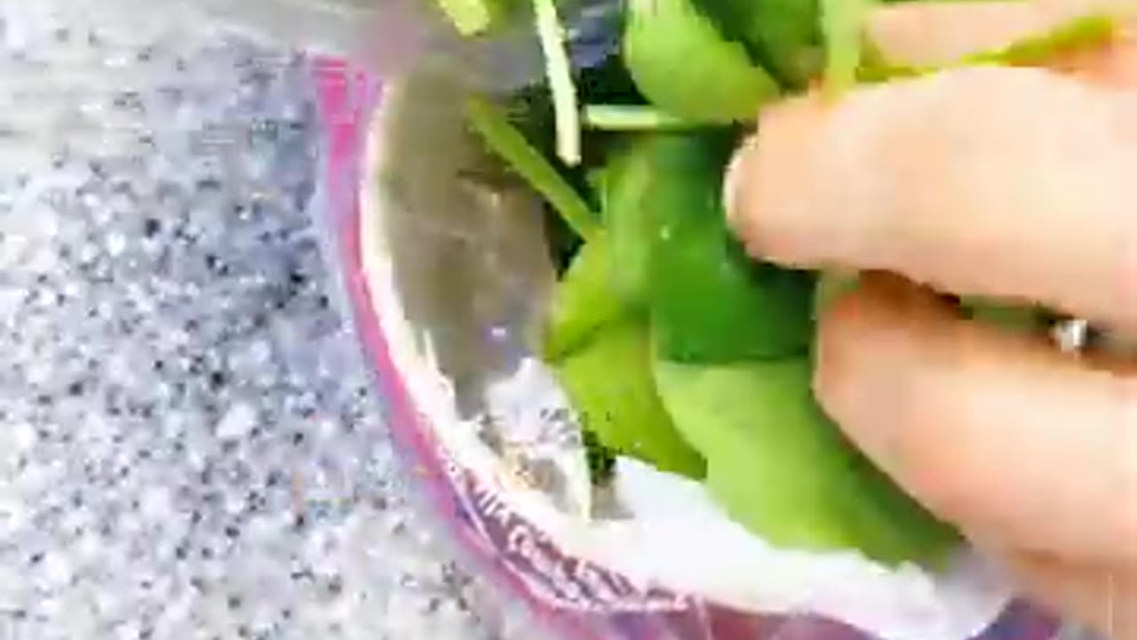 “Smart Kitchen Hacks That Actually Save You Time!”