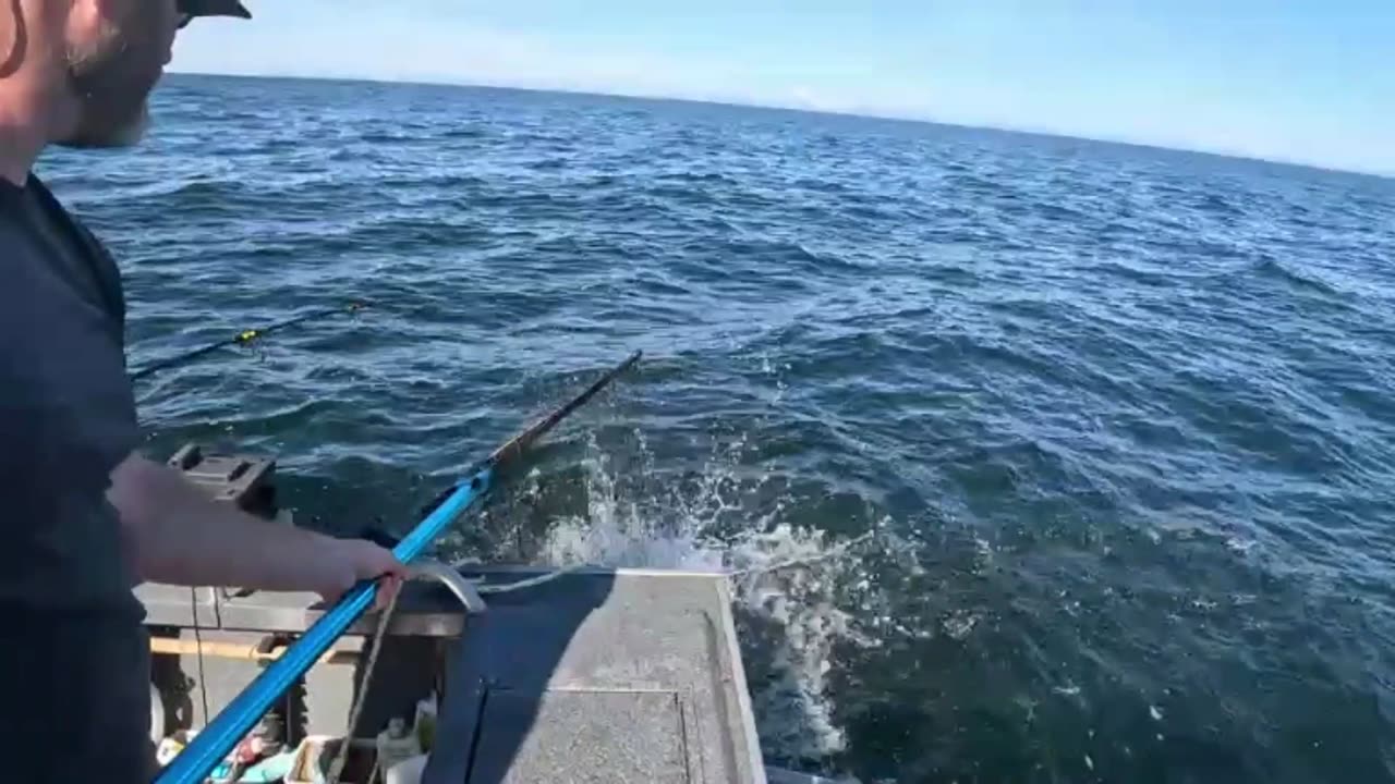 Homer Alaska fishing New Boat record for Halibut 8-14-2024