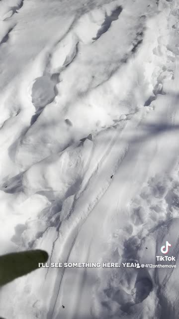 Pleasant Hills Arboretum- Part 2/2