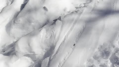 Pleasant Hills Arboretum- Part 2/2