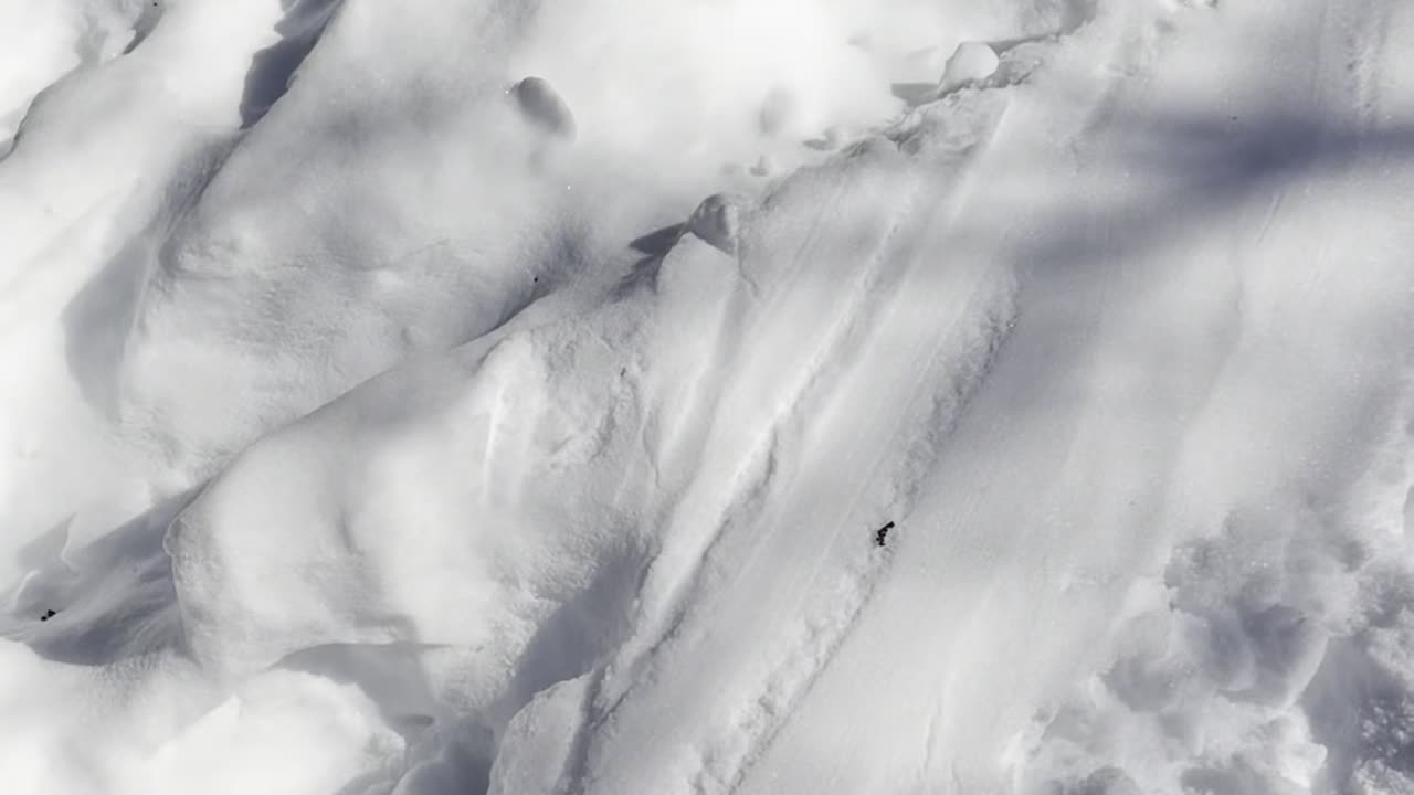 Pleasant Hills Arboretum- Part 2/2