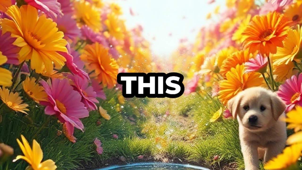 Philosophy Mindset 11/3/2025