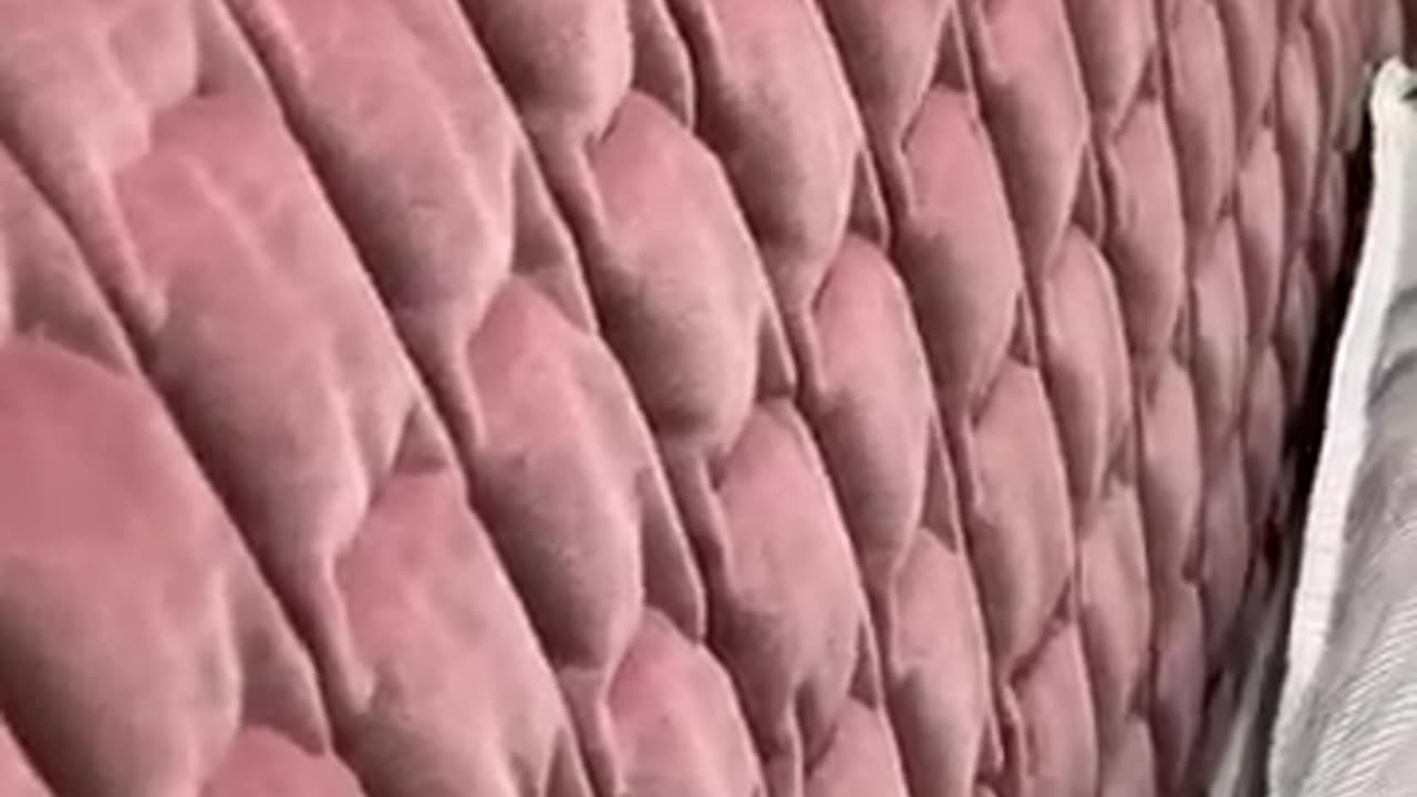 Find Pink Fabric Bed and More at Gainsville