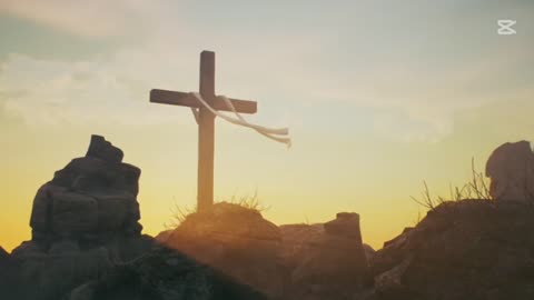 8 Christ Has Freed You From Sin and Death - Paul Washer