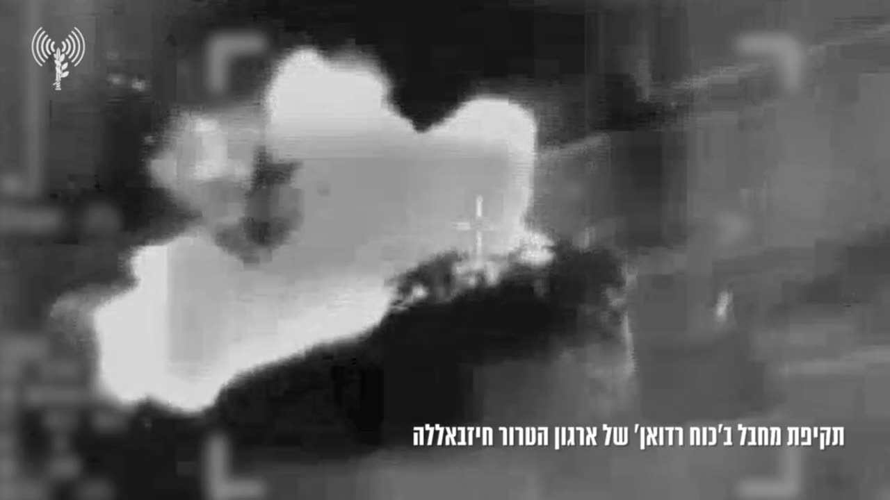 A member of Hezbollah's elite Radwan force was killed in an Israeli drone strike