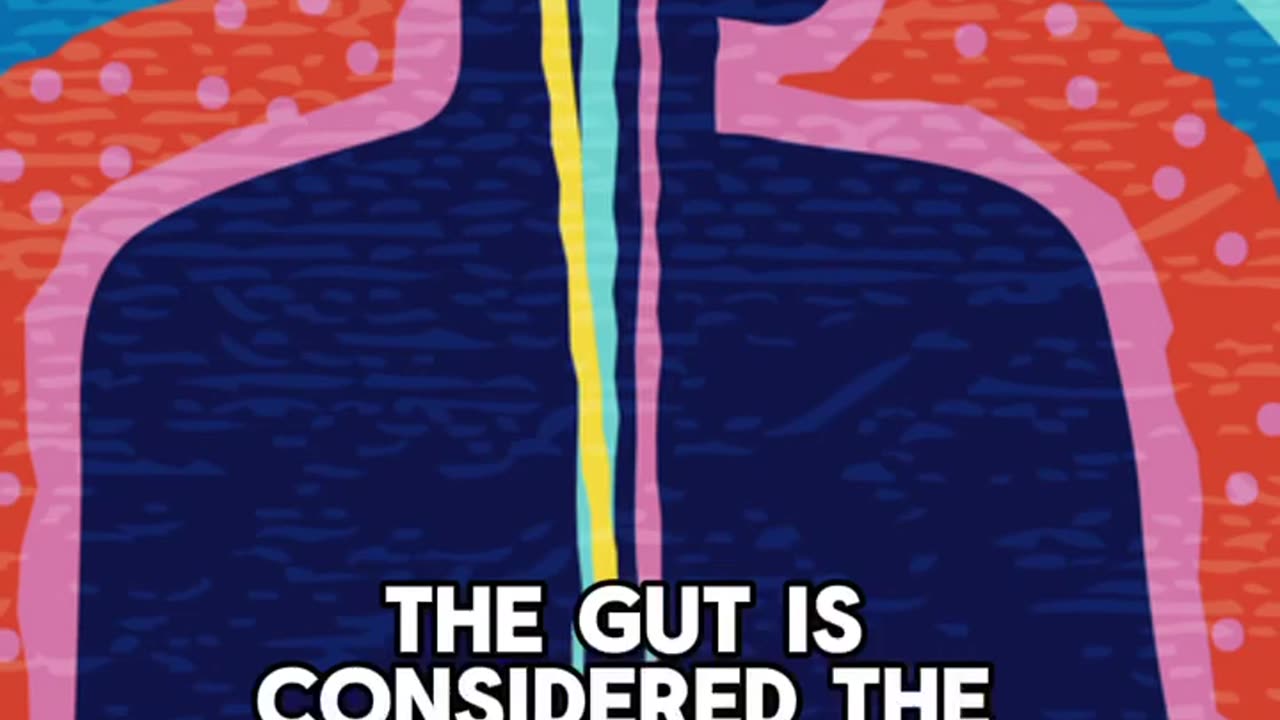 Your Gut Is Your Second Brain – Here’s the Best Probiotic to Support It 💚