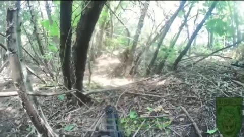 🚩🪖 Ukraine Russia War | Pro-Ukrainian Siberian Battalion Clears Russian Positions in Kharkiv | RCF