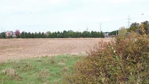 Testing with Davinci Resolve