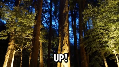 🔦 The Ultimate Flashlight Test: 100 to 100,000 Lumens! 🌟