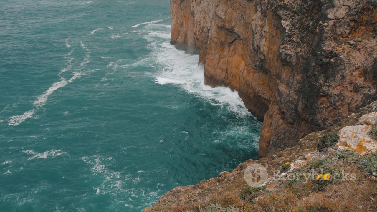 Maravilhas do Oceano