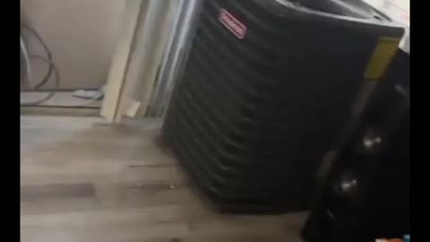 Don't hire this guy