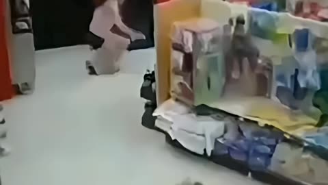 Thieves tried to escape, but failed miserably.