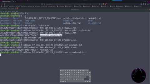 Tryhackme - Windows Memory & Processes