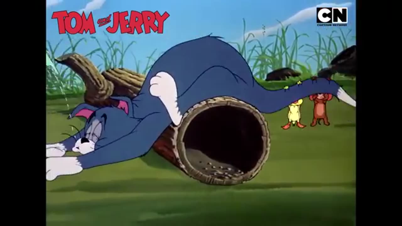 Tom and Jerry funny fight