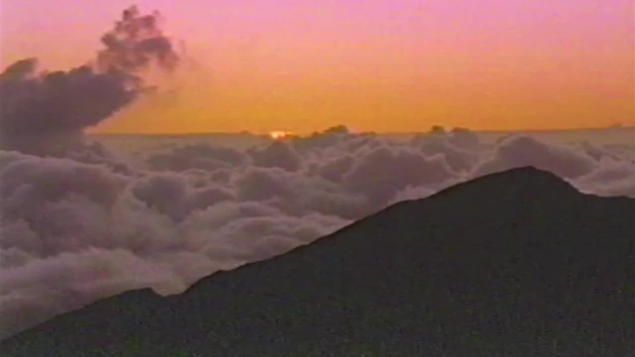 Hawaiian Paradise - Presented By Reader's Digest (1990)