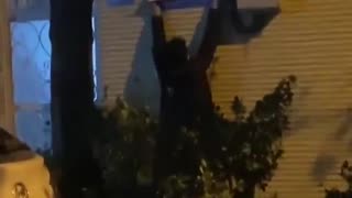 Street names in Iran are being changed to “Trump Street” amid nationwide protests- #SHORT