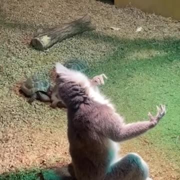 You can't make this stuff up. 😂