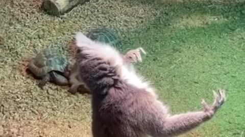 You can't make this stuff up. 😂