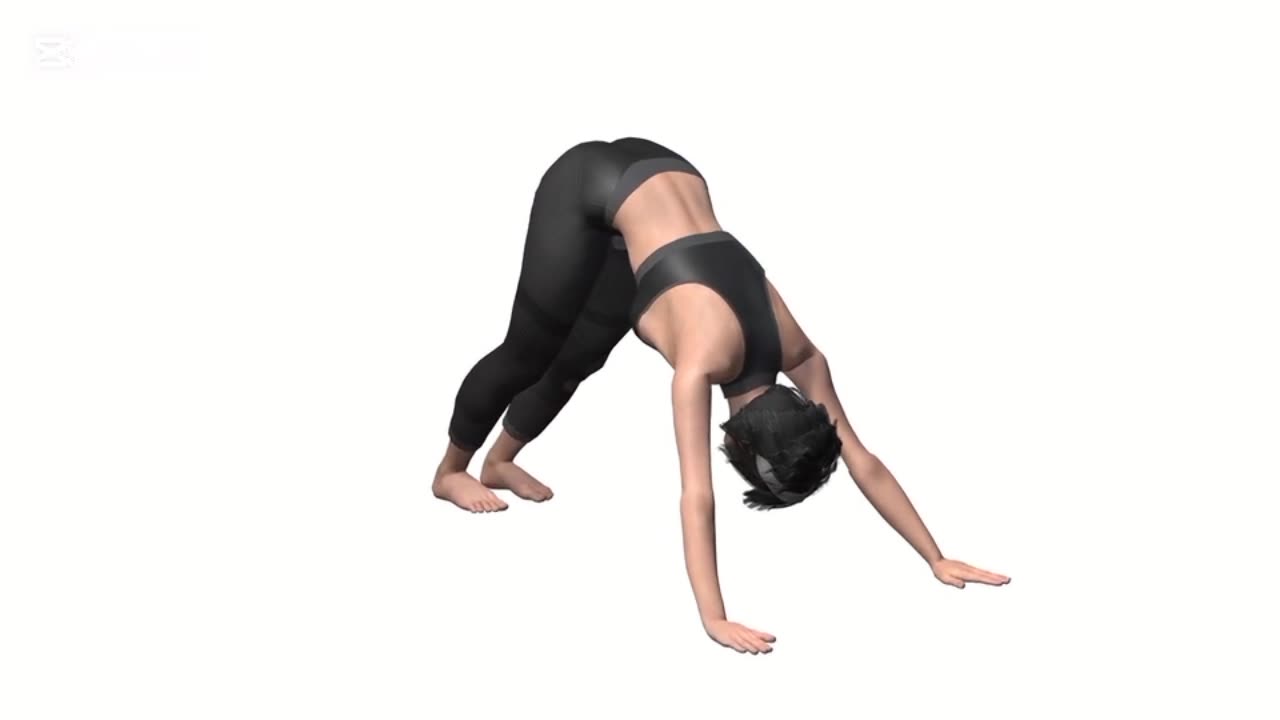 THIS EXERCISE IS GOOD FOR SOUND HEALTH