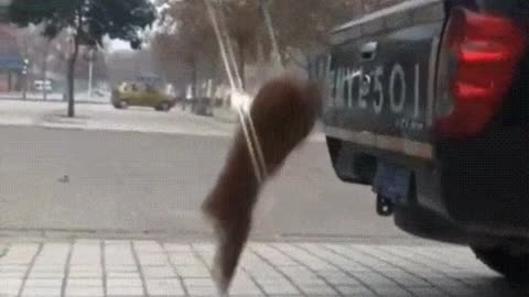No obstacle will stop you from going for a ride