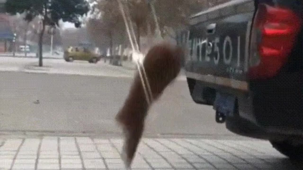 No obstacle will stop you from going for a ride