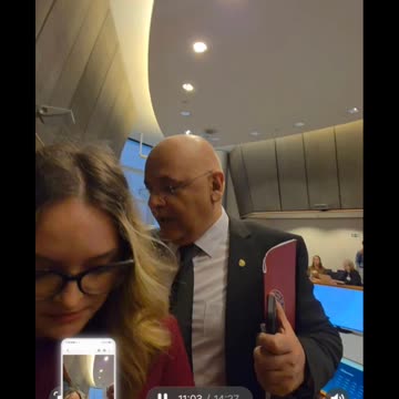 ARAFAT FUGE DE DIANA ȘOȘOACĂ ÎN PARLAMENTUL EUROPEAN - Reel