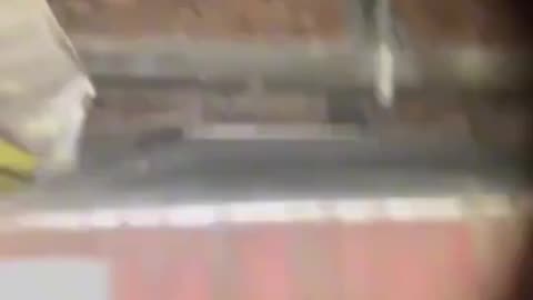 Slingshot Sniper