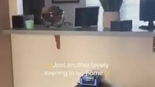 Where Did They Go Wrong?