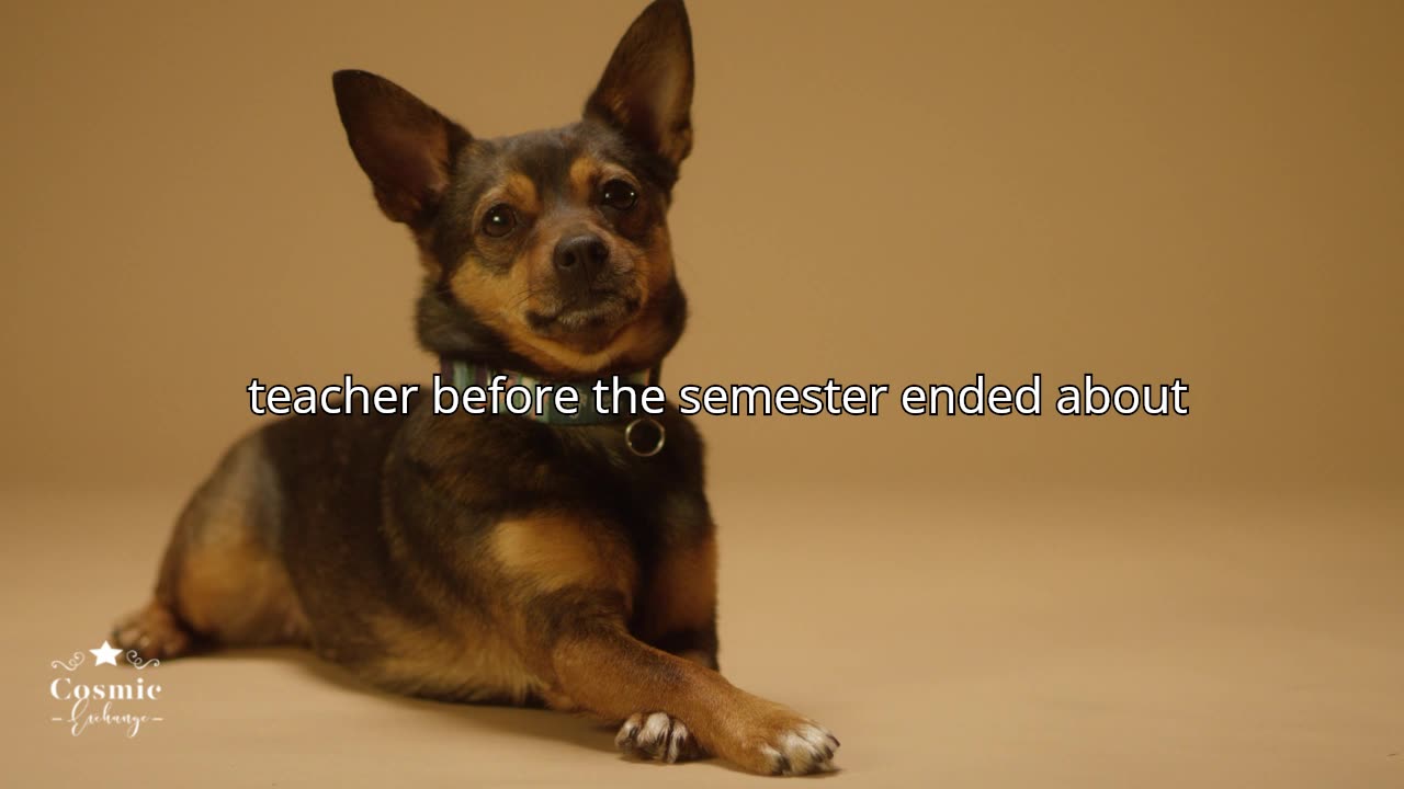 AITA for fighting my kid's grade?