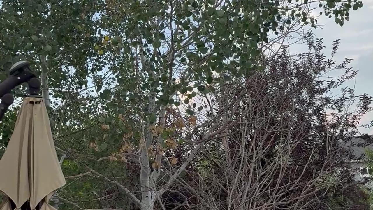 A good day outside