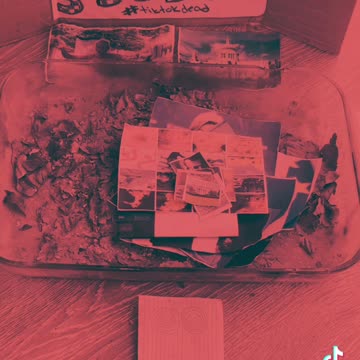 Tim Rifat TikTok Videos