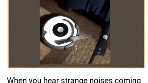 pic (1).mp4