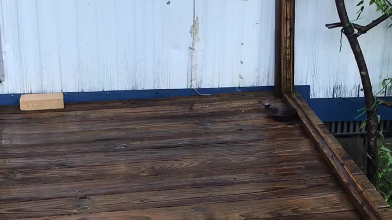 Washing the deck