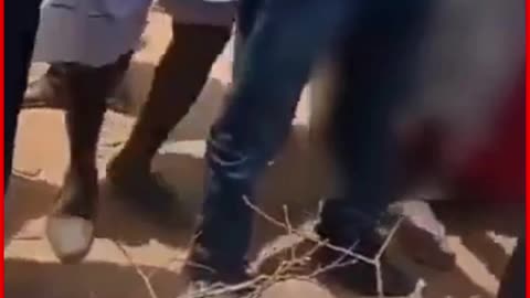🚨 Rajasthan: Son stalls mother's last rites over silver bangles dispute