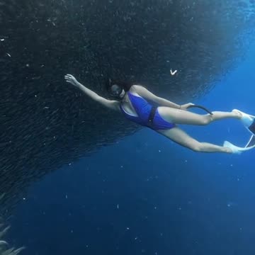 Freediving in Panagsama Beach: Home of the Sardine Run and the Iconic Mermaid Point