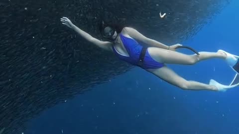 Freediving in Panagsama Beach: Home of the Sardine Run and the Iconic Mermaid Point