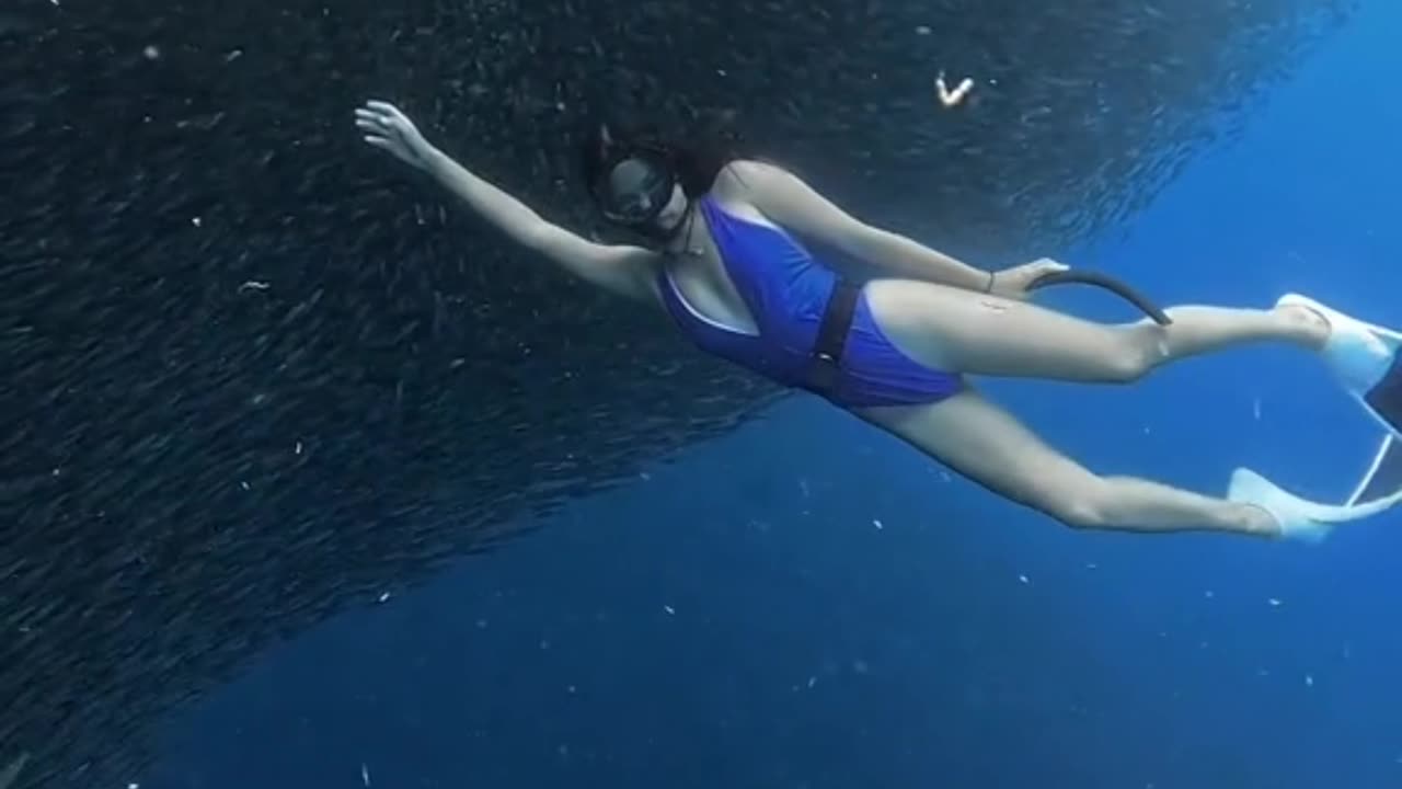 Freediving in Panagsama Beach: Home of the Sardine Run and the Iconic Mermaid Point