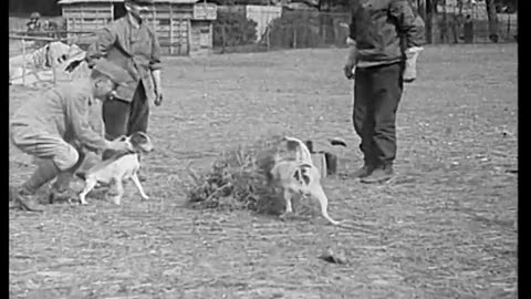 [BRITISH NEWSREEL EXCERPTS] - [BRITISH NEWSREEL EXCERPTS] - cbs-cbswwi-547